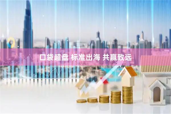 口袋超盘 标准出海 共赢致远
