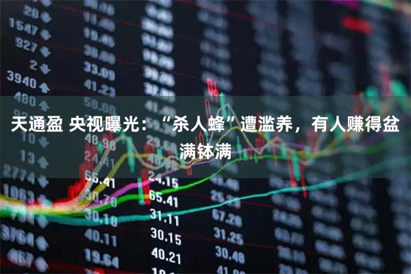 天通盈 央视曝光：“杀人蜂”遭滥养，有人赚得盆满钵满