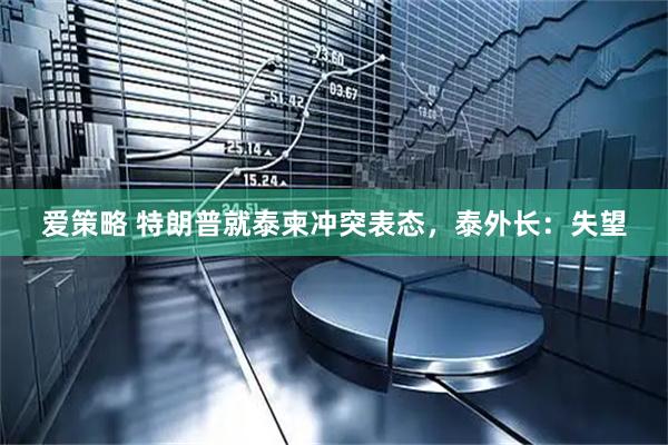 爱策略 特朗普就泰柬冲突表态，泰外长：失望