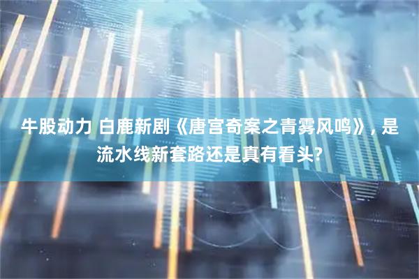 牛股动力 白鹿新剧《唐宫奇案之青雾风鸣》, 是流水线新套路还是真有看头?