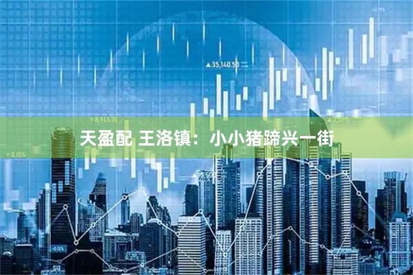 天盈配 王洛镇：小小猪蹄兴一街